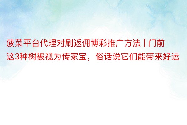 菠菜平台代理对刷返佣博彩推广方法 | 门前这3种树被视为传家宝，俗话说它们能带来好运