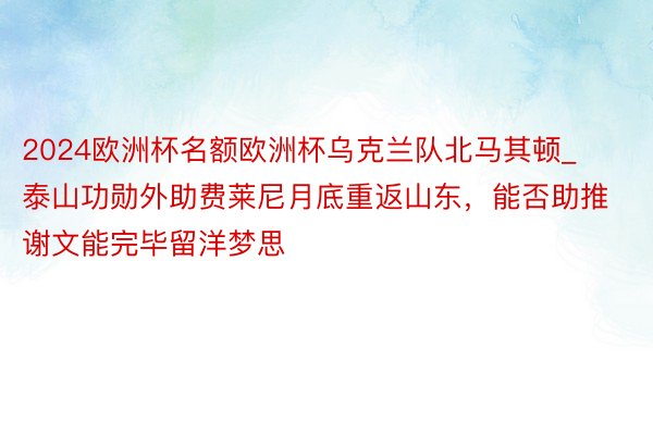 2024欧洲杯名额欧洲杯乌克兰队北马其顿_泰山功勋外助费莱尼月底重返山东，能否助推谢文能完毕留洋梦思